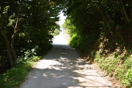 Žlebe - klanec (6)